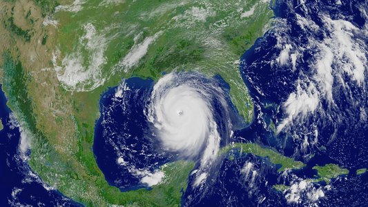 Hurricane-Proofing Your Florida Home and Landscape