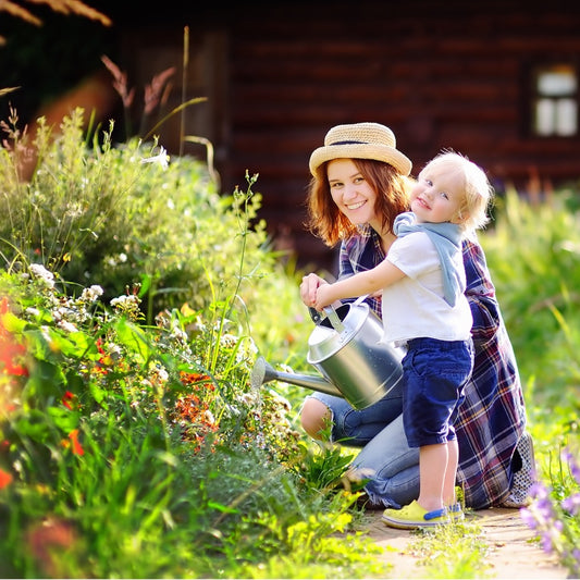 A Beginner's Guide to Planting Outdoor Plants