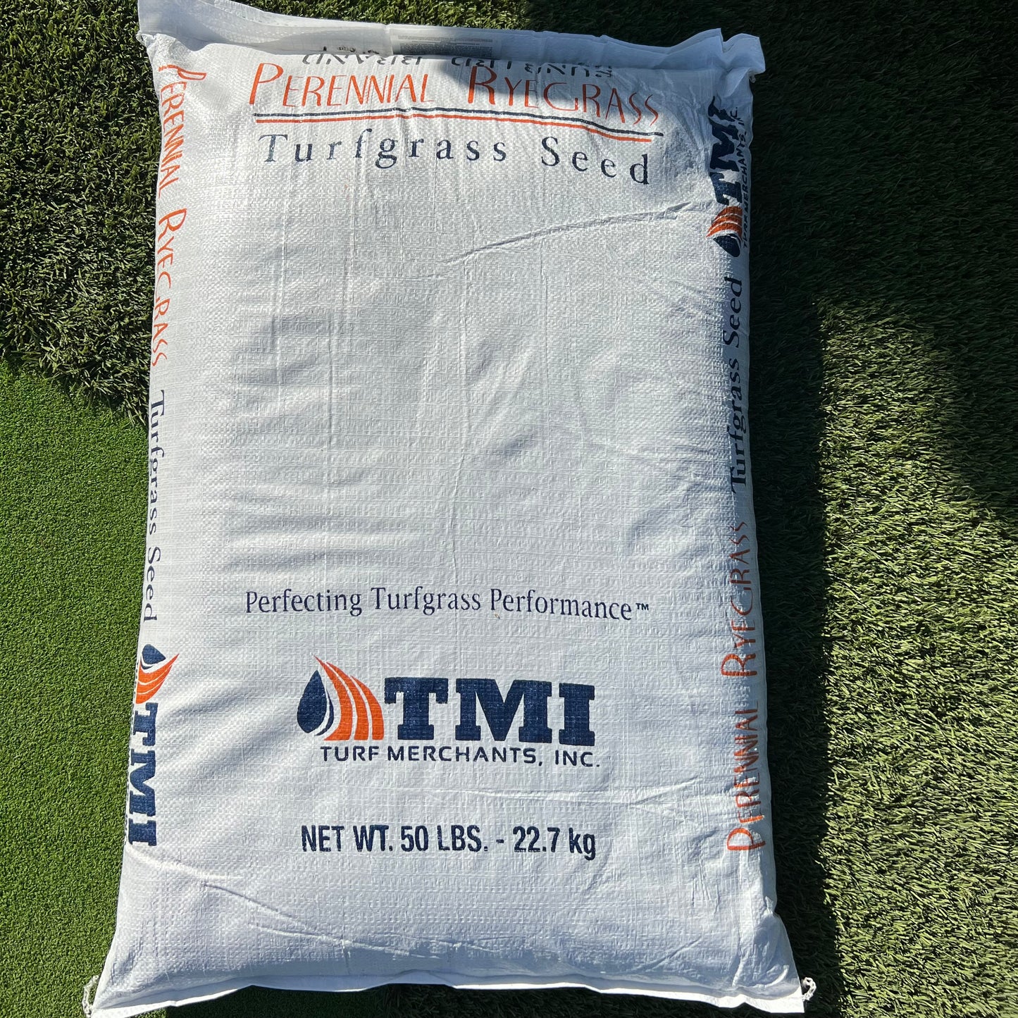 Turfgrass Seed