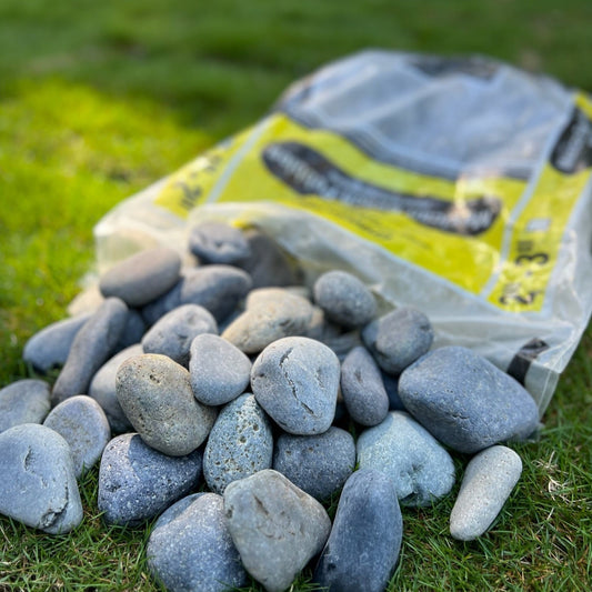 Mexican Beach Pebble