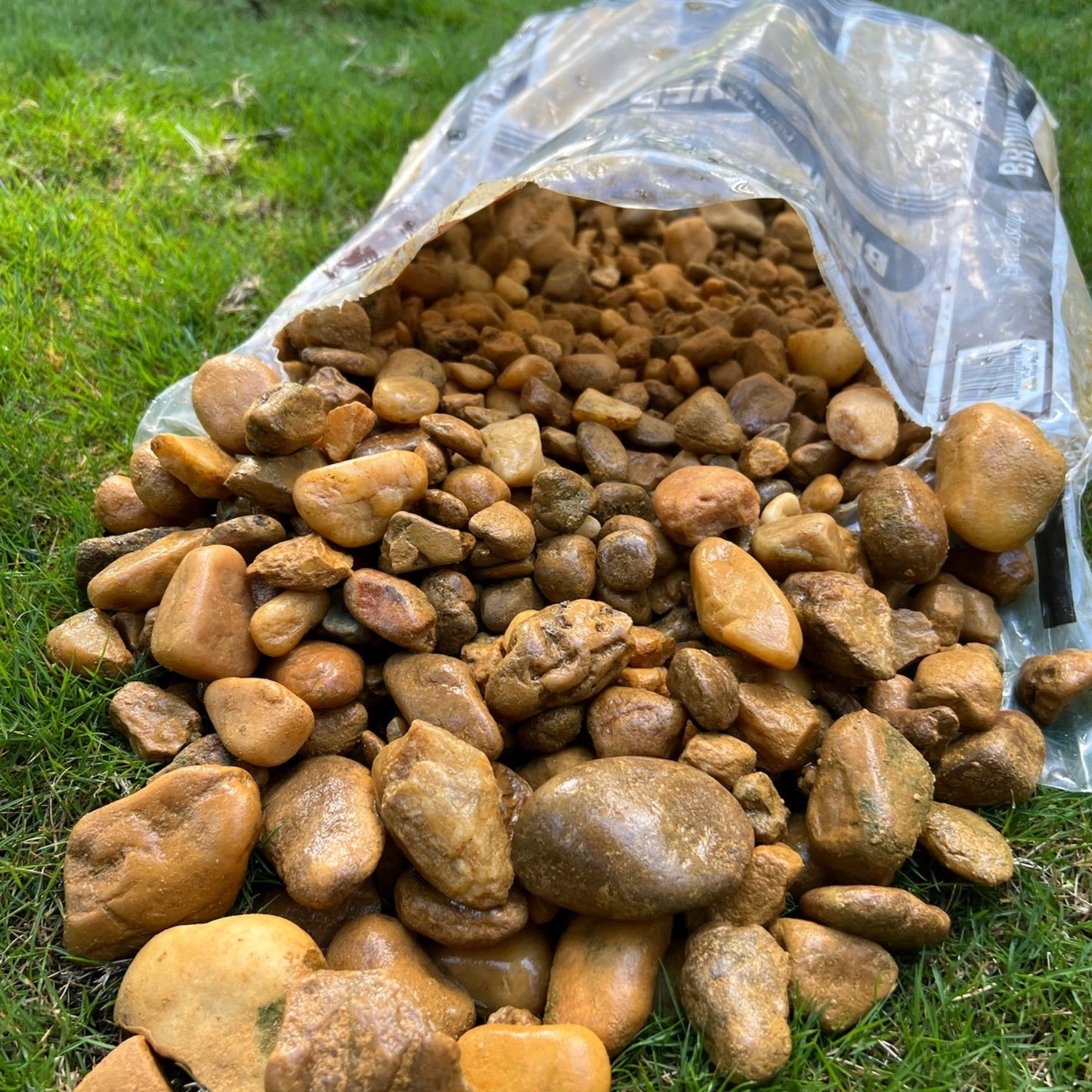 Brown River Rock XL
