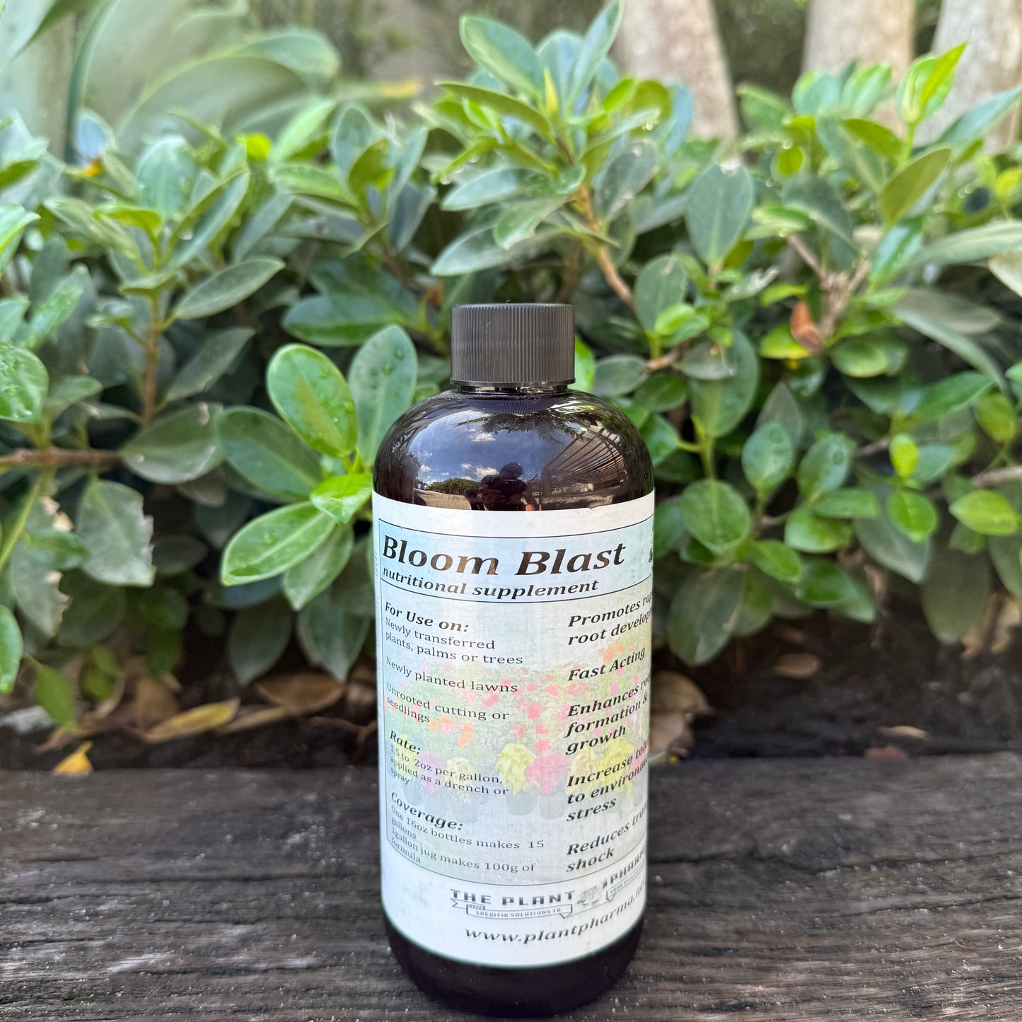 Bloom Blast Plant Supplement