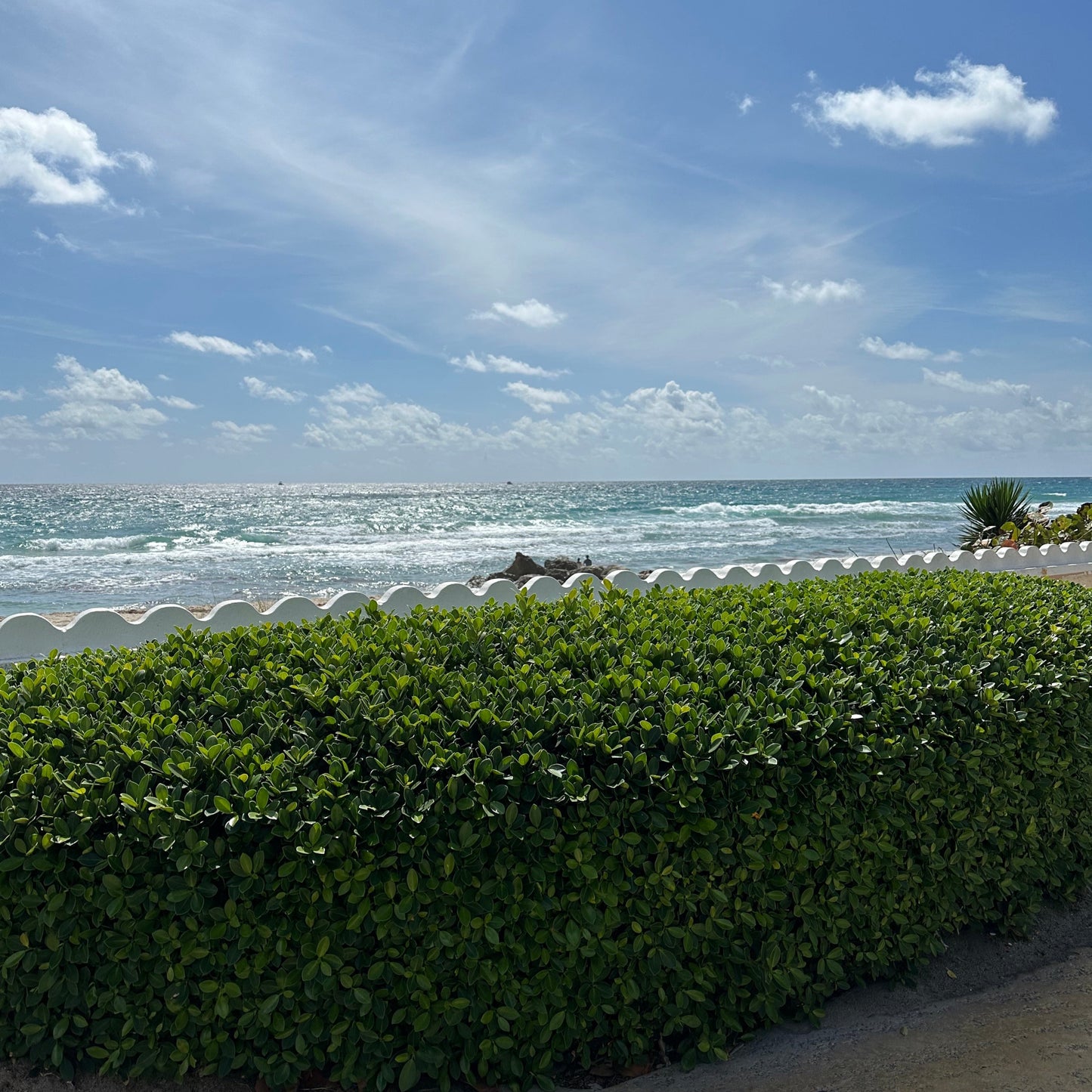 Green Island