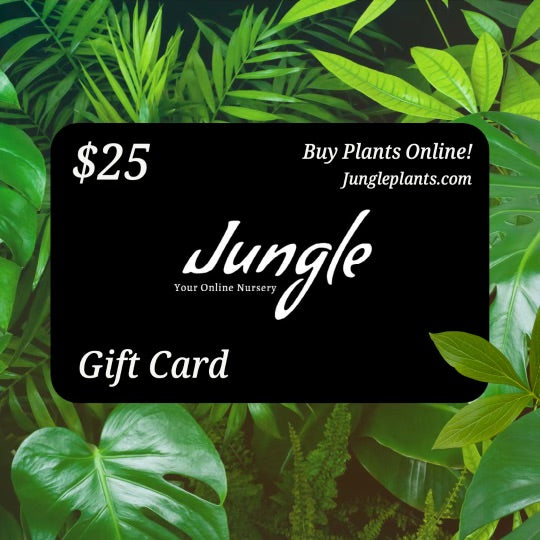 Jungle Plants Gift Card