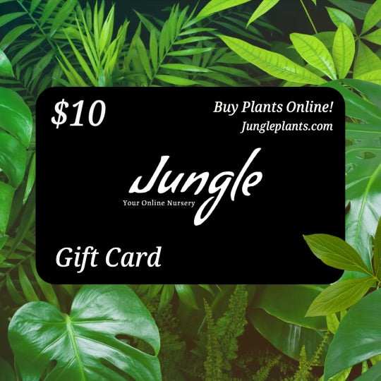 Jungle Plants Gift Card