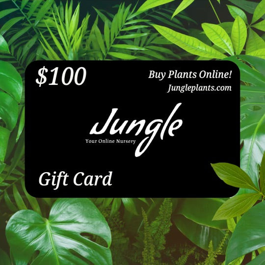 Jungle Plants Gift Card