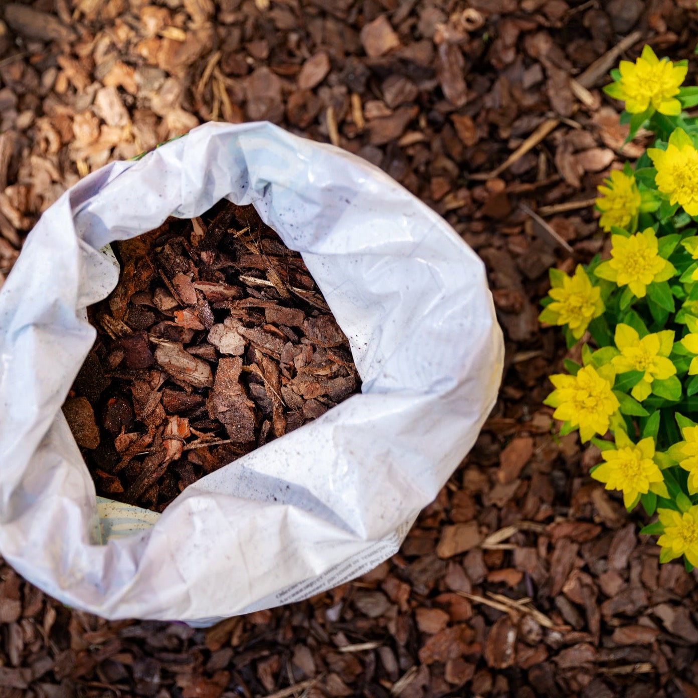Pine Bark Mulch