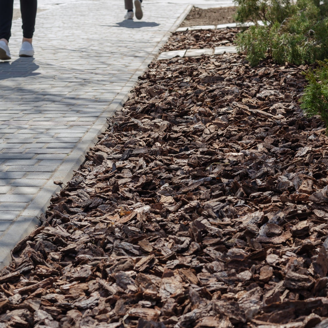 Pine Bark Mulch