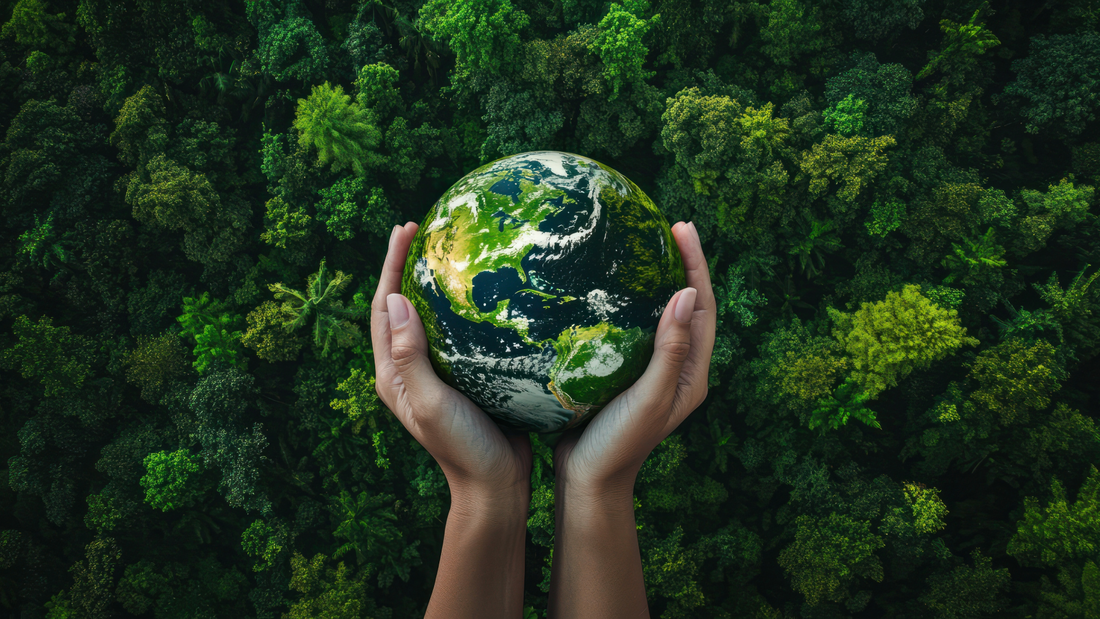 Planting for the Planet: How Your Florida Yard Makes a Difference
