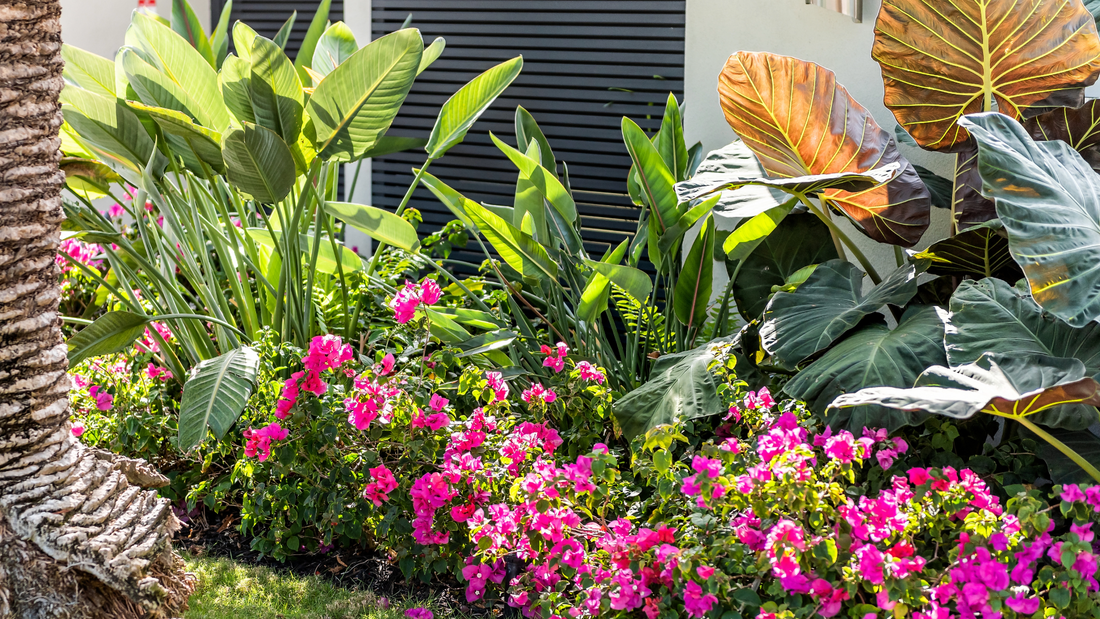 How to Layer Your Yard Like a Pro