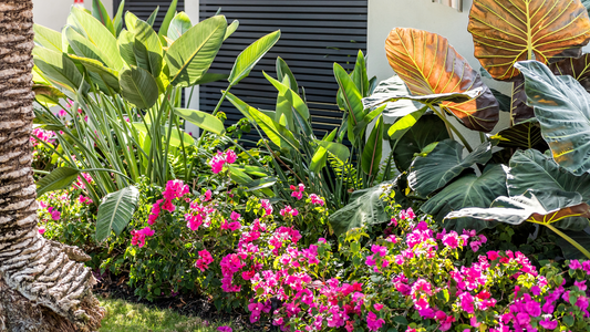 How to Layer Your Yard Like a Pro