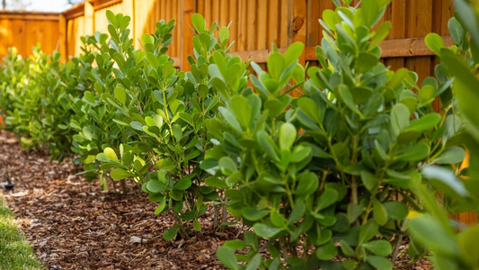 Where to Plant What: A Simple Guide to Getting It Right