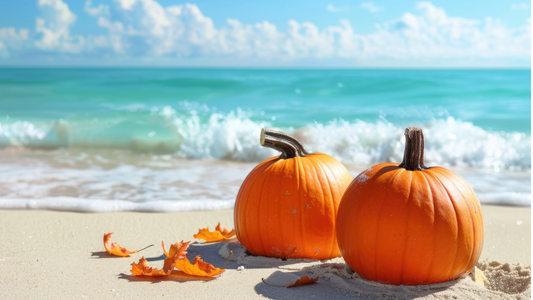 Fall in Florida - What to look forward to!