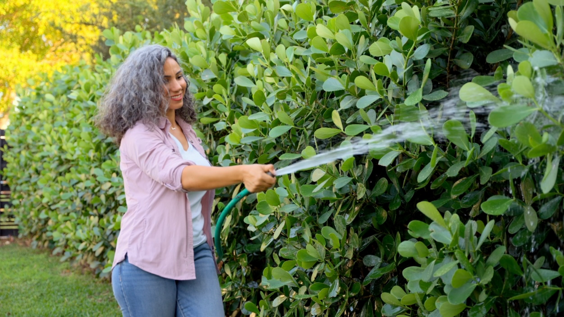 How to Choose the Right Spacing for New Plants (3, 7, 15, 25 Gallon Guide)