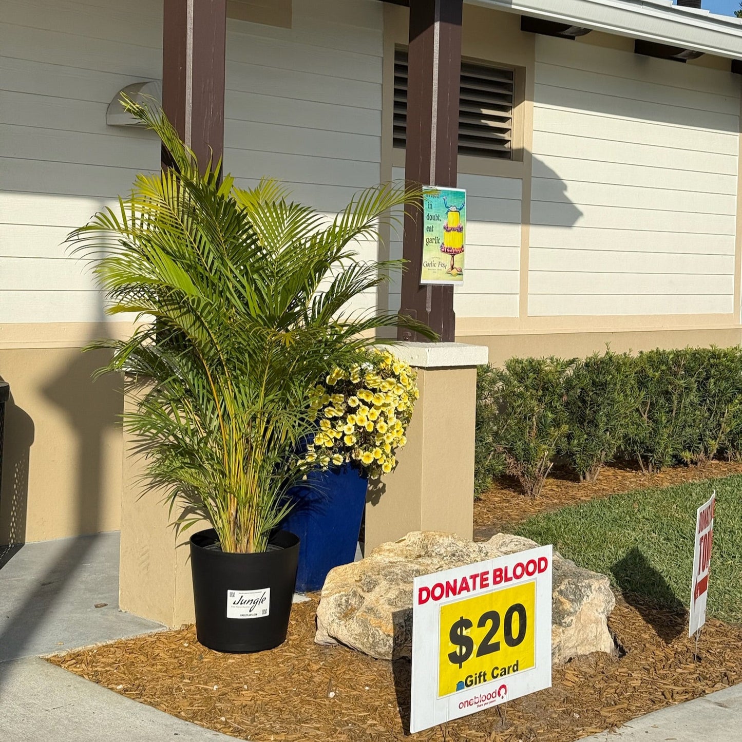 Plant Rentals