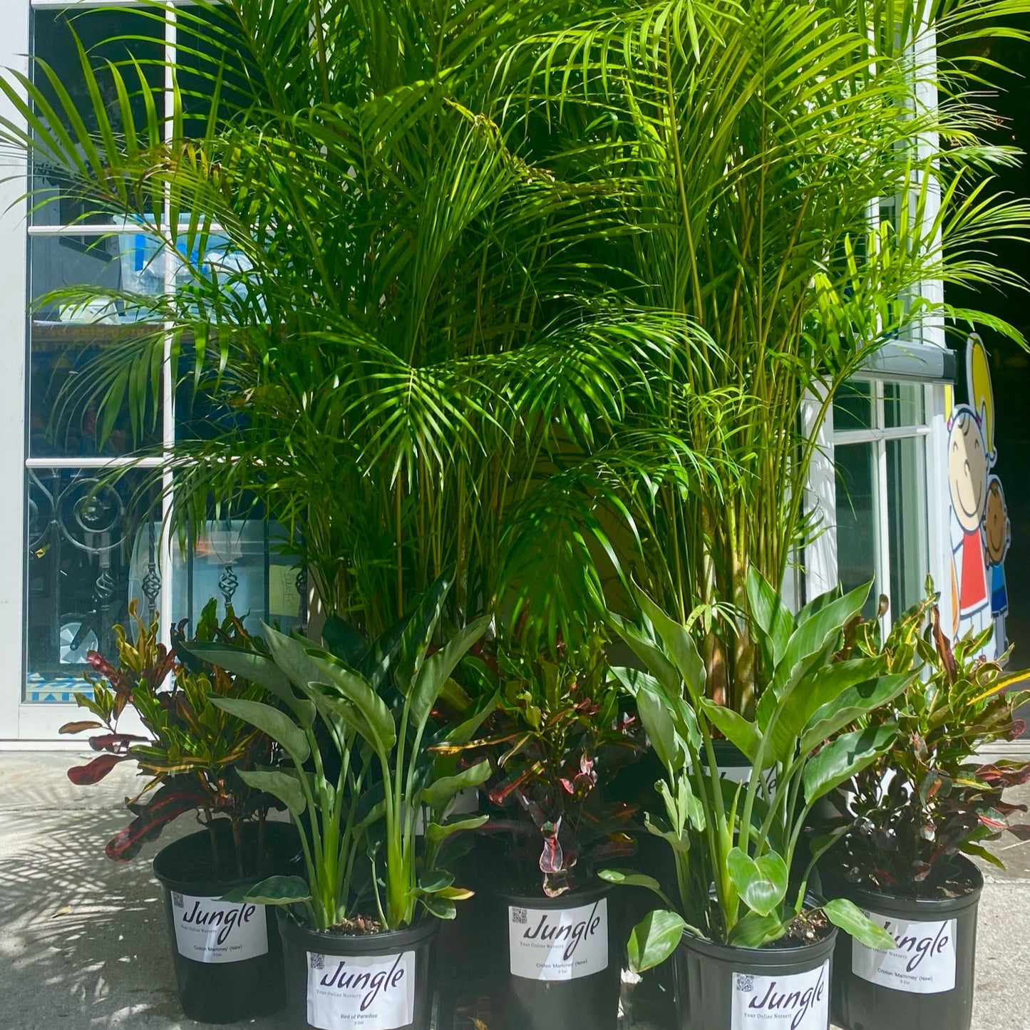 Plant Rentals