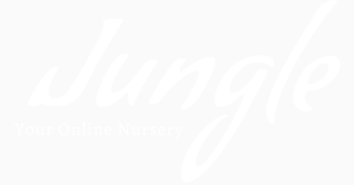 Buy Plants Online Today! South Florida Outdoor Plants & More Jungle Plants