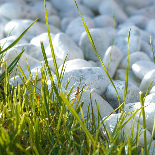 Polar White Beach Pebble