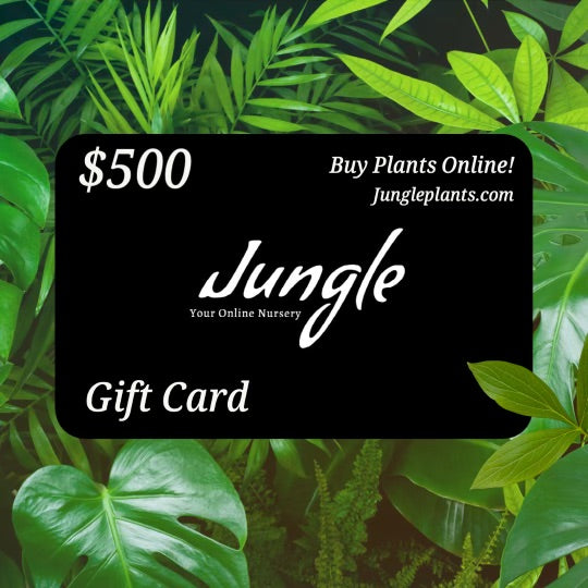 Jungle Plants Gift Card