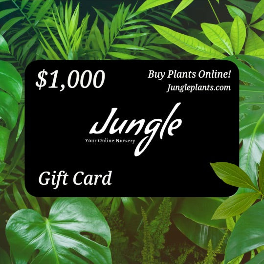 Jungle Plants Gift Card